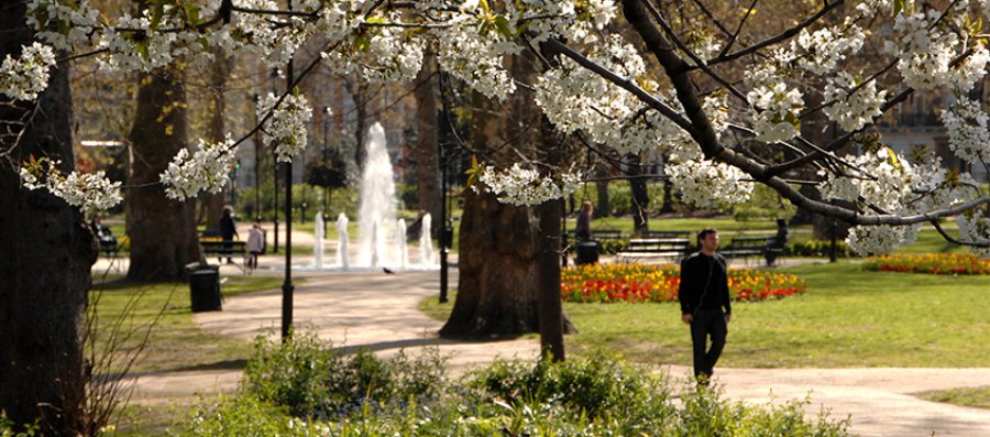 London living: Tips from our students | LSHTM